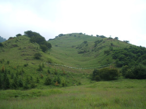 2005724